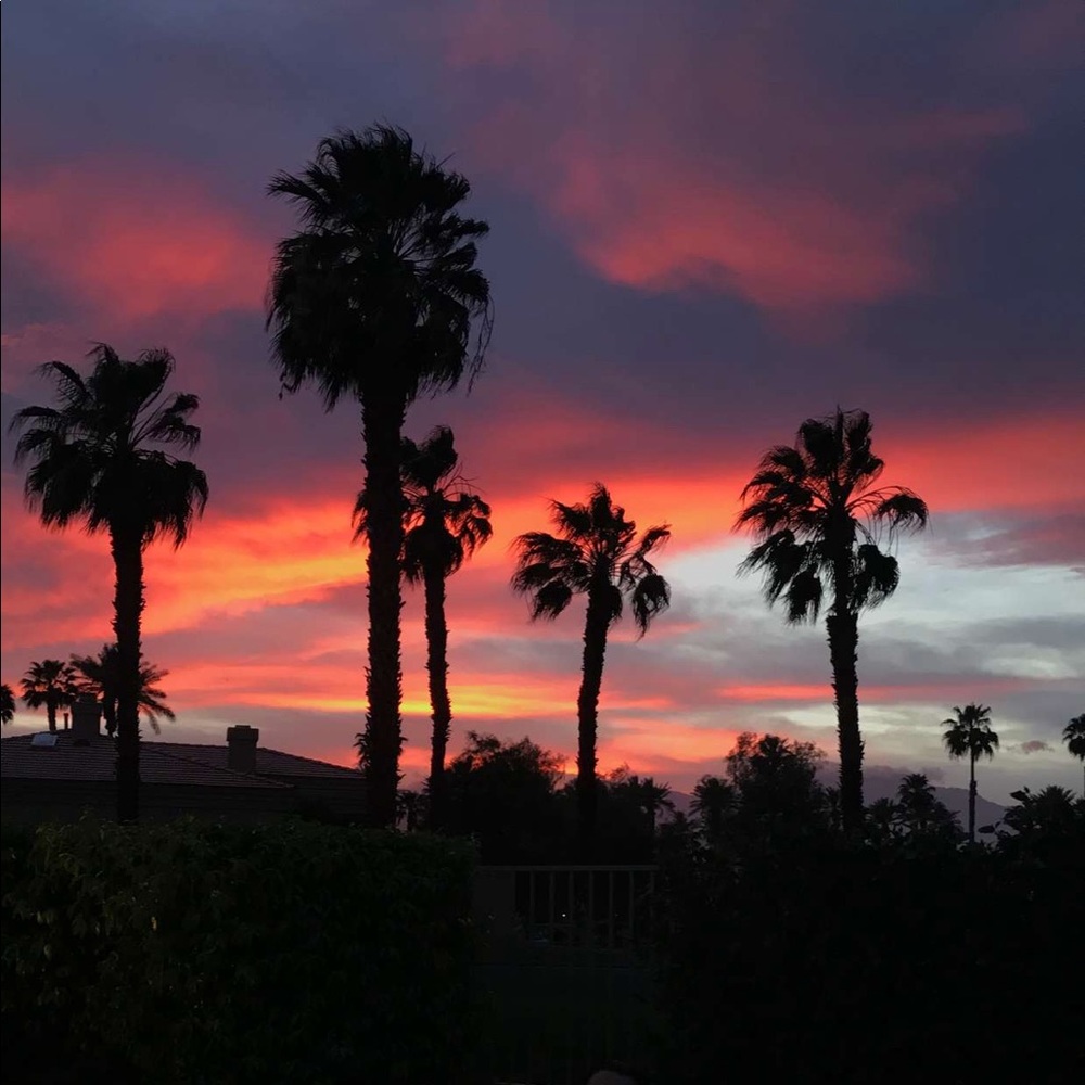 Meet your Posher, Alexia